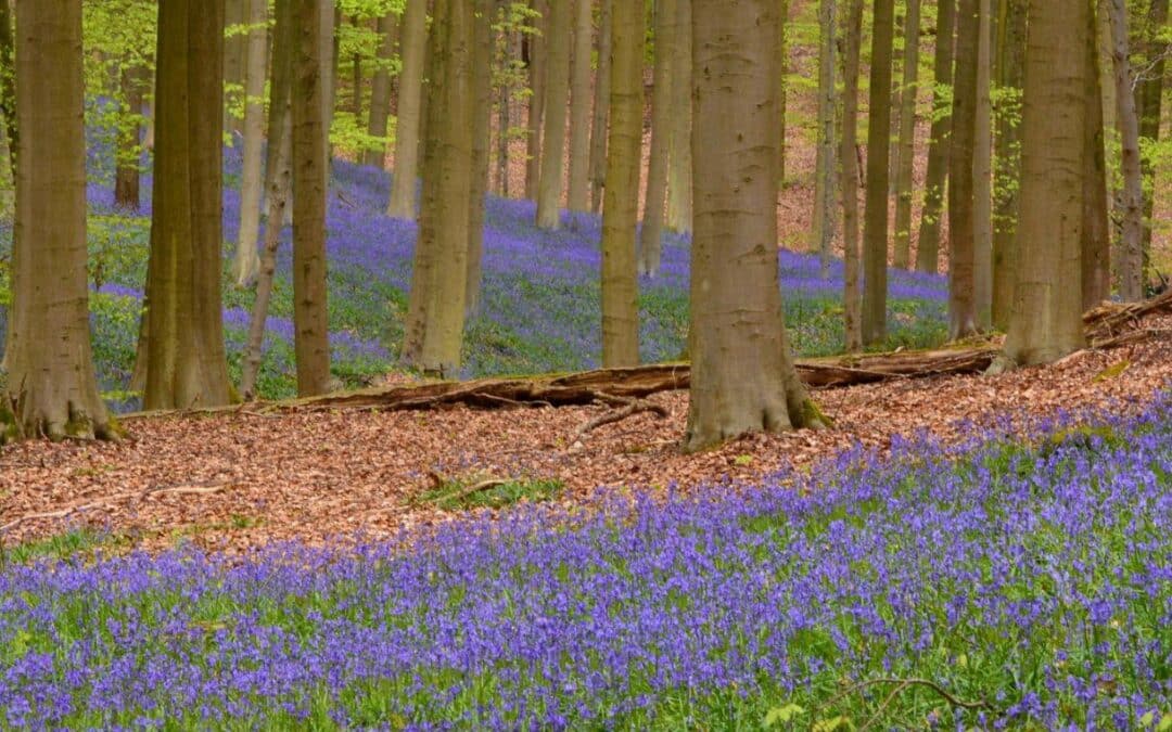 Seasonal Self-Care That Actually Fits Your Life